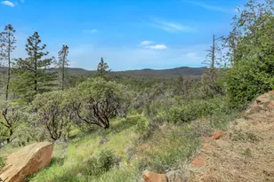 13886 Meadow Valley Rd, Dobbins, CA 95935 - Photo 96