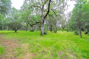 3958 Arabian Way, Shingle Springs, CA 95682 - Photo 68