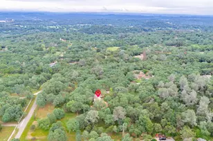 3958 Arabian Way, Shingle Springs, CA 95682 - Photo 80