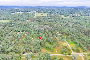 3958 Arabian Way, Shingle Springs, CA 95682 - Photo 82