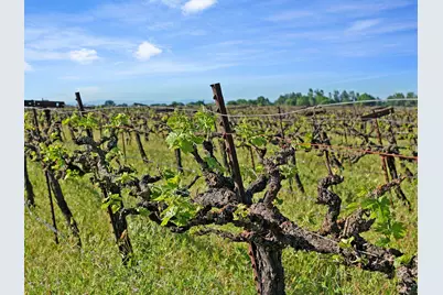 3824 W Sargent Road, Lodi, CA 95242 - Photo 28