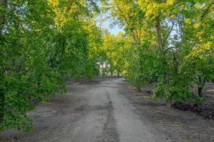 11126 Livingston Cressey Rd, Livingston, CA 95334 - Photo 10