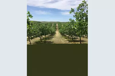 17981 Los Cerritos, Snelling, CA 95369 - Photo 4