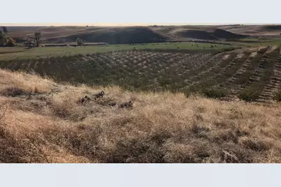 17981 Los Cerritos, Snelling, CA 95369 - Photo 8