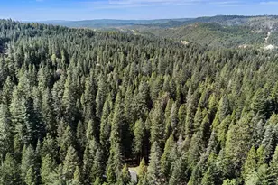 33837 Nary Red Rd, Alta, CA 95701 - Photo 74