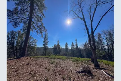 17414 You Bet Road, Grass Valley, CA 94945 - Photo 1