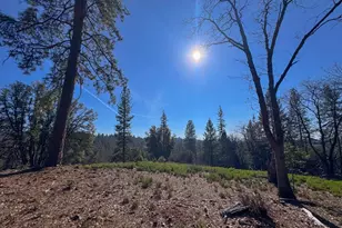 17414 You Bet Rd, Grass Valley, CA 94945 - Photo 1