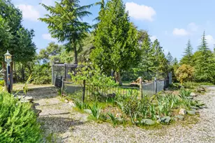 24717 Rodeo Flat Rd, Auburn, CA 95602 - Photo 70