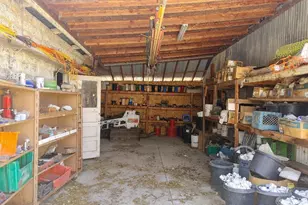 341 Main St, Grimes, CA 95950 - Photo 8