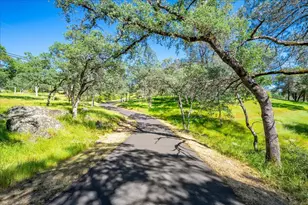 1991 Quartz Creek Ln, Placerville, CA 95667 - Photo 68