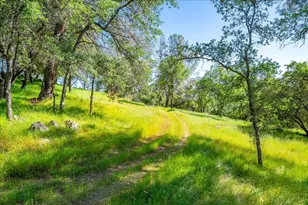 1991 Quartz Creek Ln, Placerville, CA 95667 - Photo 70