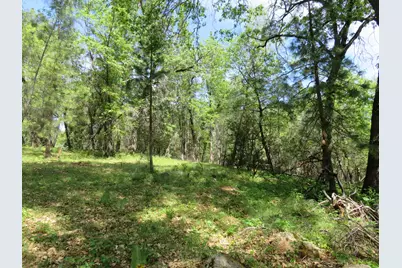 0 Higdon Spink Road, West Point, CA 95255 - Photo 26