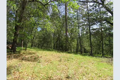 0 Higdon Spink Road, West Point, CA 95255 - Photo 22