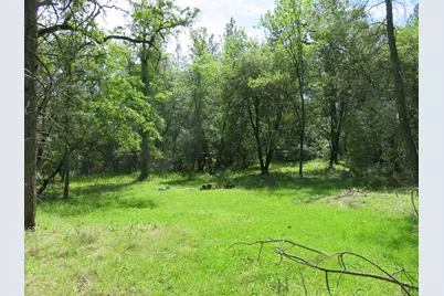 0 Higdon Spink Road, West Point, CA 95255 - Photo 18