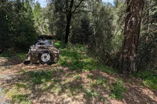 15405 McElroy Rd, Meadow Vista, CA 95722 - Photo 34