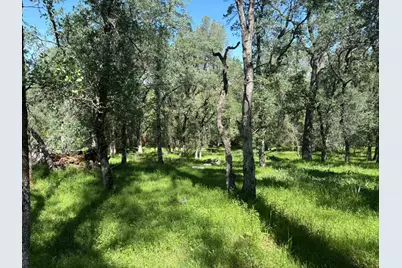 3465 Foothill Boulevard, Oroville, CA 95966 - Photo 8