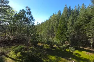 14163 Jokers Wild Ln, Grass Valley, CA 95945 - Photo 14