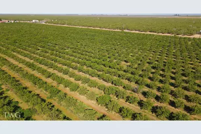 25012 Avenue 24, Chowchilla, CA 93610 - Photo 12