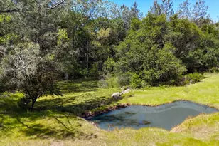 14511 Clear Creek Pl, Grass Valley, CA 95949 - Photo 58