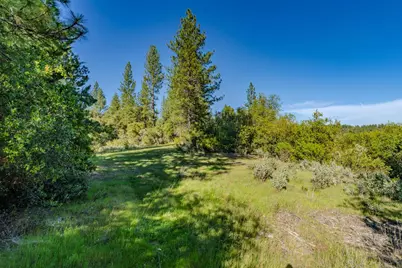 16480 Ponderosa Way, Volcano, CA 95689 - Photo 1