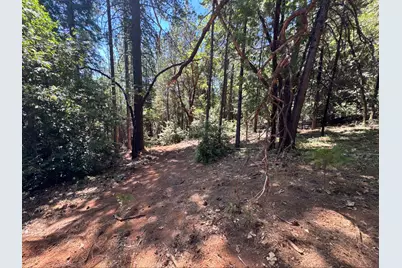 16704 New York House Road, Brownsville, CA 95919 - Photo 4