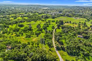 3000 Alexandrite Dr, Rescue, CA 95672 - Photo 72