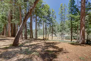 11782 Brunswick Pines Rd, Grass Valley, CA 95945 - Photo 62