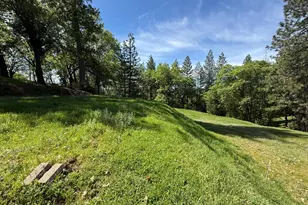 3717 N Railroad Flat Rd, Wilseyville, CA 95257 - Photo 8