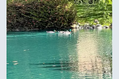 2424 Larkspur Lane #217, Sacramento, CA 95825 - Photo 66