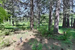 1801 Pine Dr, Arnold, CA 95223 - Photo 56