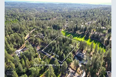 1711 The Point Rd, Meadow Vista, CA 95722 - Photo 1