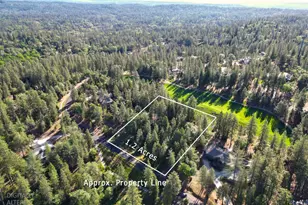 1711 The Point Rd, Meadow Vista, CA 95722 - Photo 1