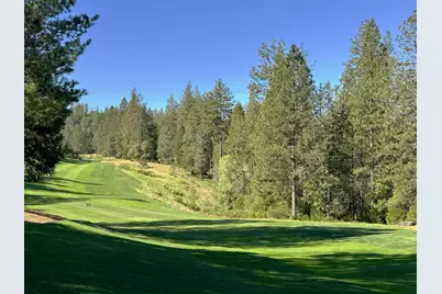 1711 The Point Rd, Meadow Vista, CA 95722 - Photo 22