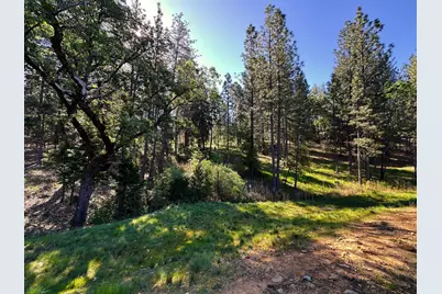 1711 The Point Rd, Meadow Vista, CA 95722 - Photo 20