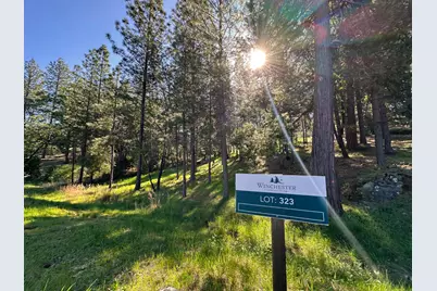 1711 The Point Rd, Meadow Vista, CA 95722 - Photo 16