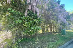 390 Nevada St, Gridley, CA 95948 - Photo 12