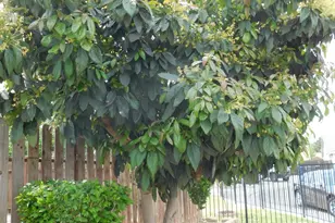 4812 Gregerson Ct, Salida, CA 95368 - Photo 18