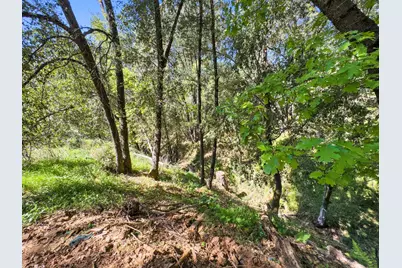 22666 Lower Quail Mine Road, Sonora, CA 95370 - Photo 14