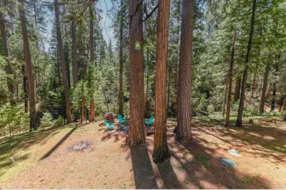 26670 Columbia Drive, Pioneer, CA 95666 - Photo 42