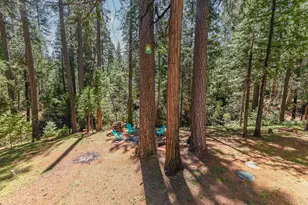 26670 Columbia Dr, Pioneer, CA 95666 - Photo 42