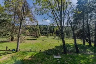 26262 Fairway Dr, Pioneer, CA 95666 - Photo 12