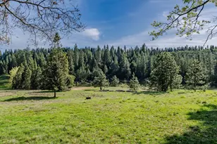 26262 Fairway Dr, Pioneer, CA 95666 - Photo 30
