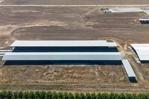 15942 N Jack Tone Rd, Lodi, CA 95240 - Photo 12