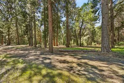28245 Big Dipper Road, Colfax, CA 95713 - Photo 60