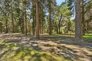 28245 Big Dipper Rd, Colfax, CA 95713 - Photo 60