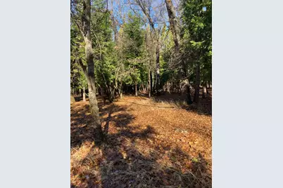 13117 Madrone Forest Drive, Nevada City, CA 95959 - Photo 8