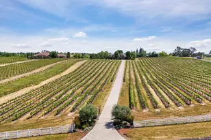 19120 E Stampede Rd, Clements, CA 95227 - Photo 88