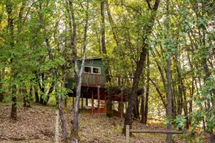 1010 Boole Rd, Applegate, CA 95703 - Photo 50