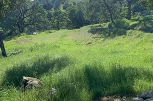 14956 Ballantree Ln, Grass Valley, CA 95949 - Photo 46