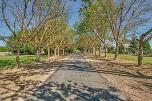 2464 Davis Rd, Williams, CA 95987 - Photo 50